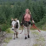 Slieve Aughty Centre Bed & Breakfast *