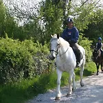 Bed & Breakfast Slieve Aughty Centre Loughrea