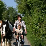 Bed & Breakfast Slieve Aughty Centre Loughrea