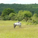 Slieve Aughty Centre *