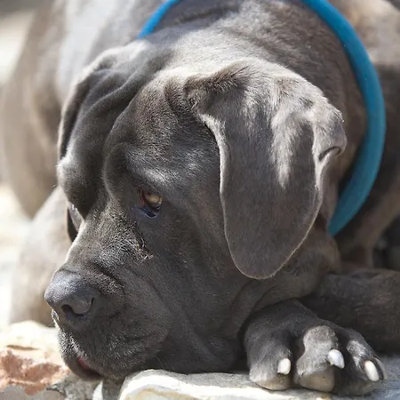 Slieve Aughty Centre Loughrea