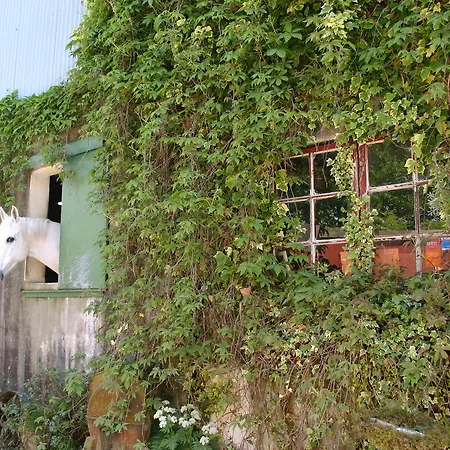 Slieve Aughty Centre Loughrea