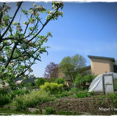 Slieve Aughty Centre Loughrea
