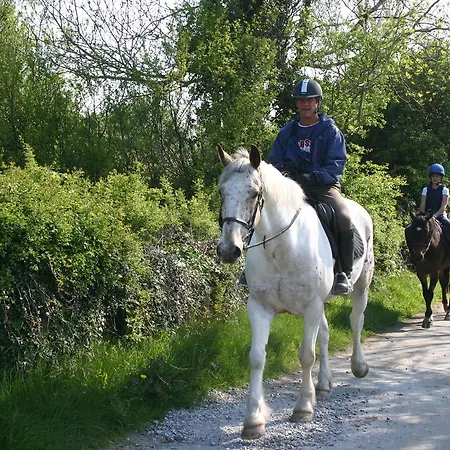 Oda ve Kahvaltı Slieve Aughty Centre Loughrea