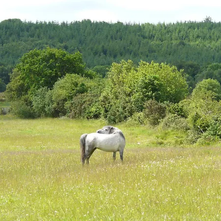 Slieve Aughty Centre *