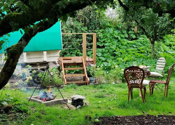 Bed and Breakfast Slieve Aughty Centre Loughrea