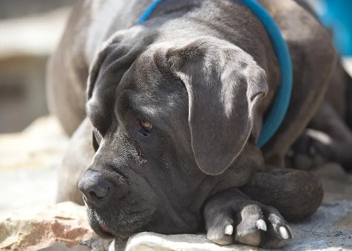 Slieve Aughty Centre Loughrea