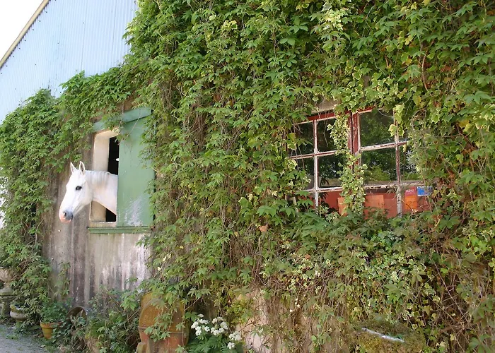 Slieve Aughty Centre Loughrea