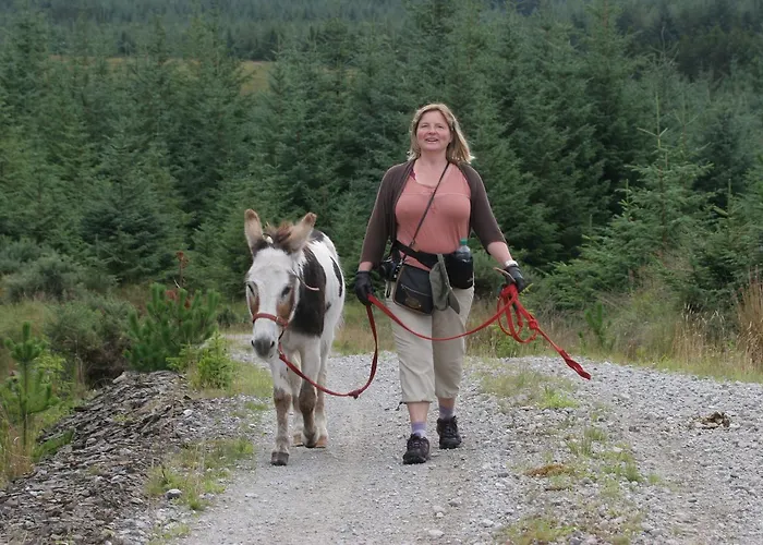 Slieve Aughty Centre Bed and breakfast *