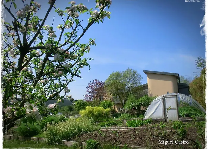 Slieve Aughty Centre Loughrea