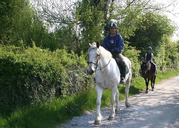 Bed and Breakfast Slieve Aughty Centre Loughrea