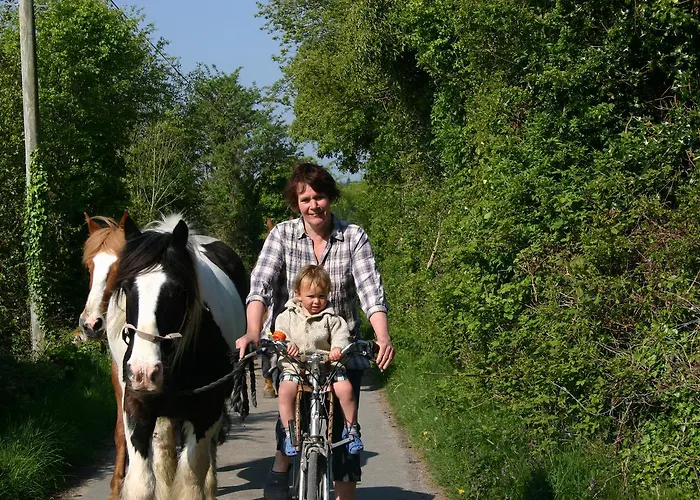 Bed and Breakfast Slieve Aughty Centre Loughrea