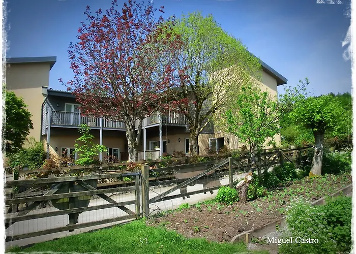 Slieve Aughty Centre Couette-café Loughrea