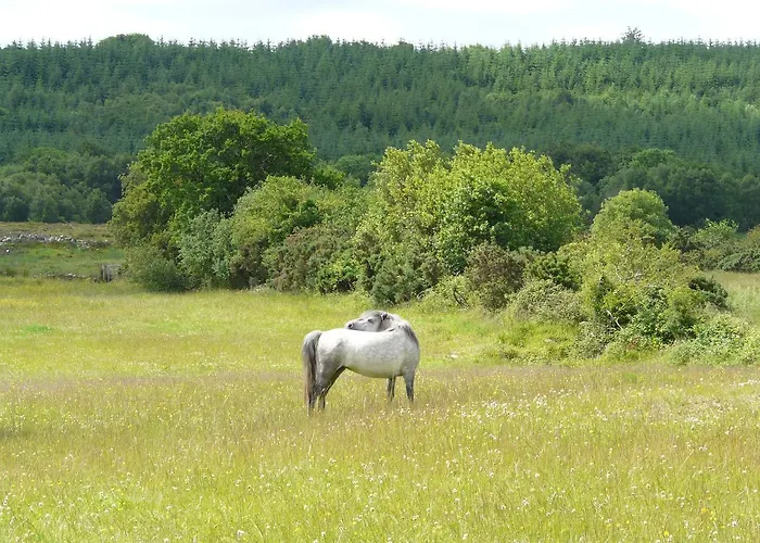 Slieve Aughty Centre *